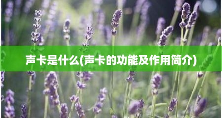 声卡是什么(声卡的功能及作用简介)