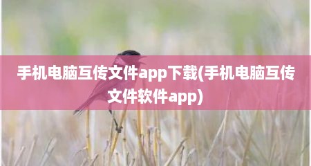 手机电脑互传文件app下载(手机电脑互传文件软件app)
