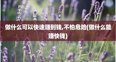 做什么可以快速赚到钱,不怕危险(做什么能赚快钱)