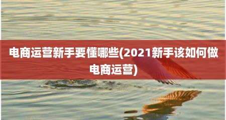 电商运营新手要懂哪些(2021新手该如何做电商运营)