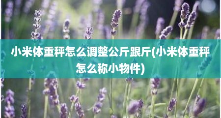 小米体重秤怎么调整公斤跟斤(小米体重秤怎么称小物件)