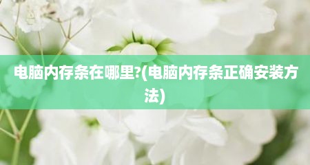 电脑内存条在哪里?(电脑内存条正确安装方法)