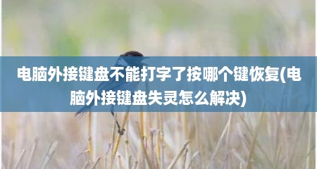 电脑外接键盘不能打字了按哪个键恢复(电脑外接键盘失灵怎么解决)