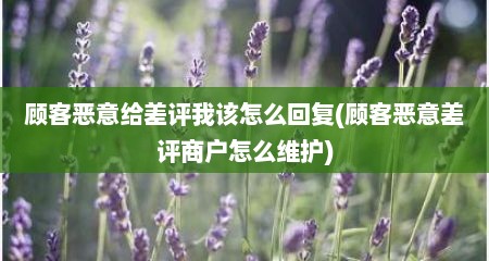 顾客恶意给差评我该怎么回复(顾客恶意差评商户怎么维护)