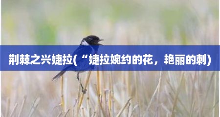 荆棘芝兴婕拉(“婕拉婉约的花，艳丽的刺)