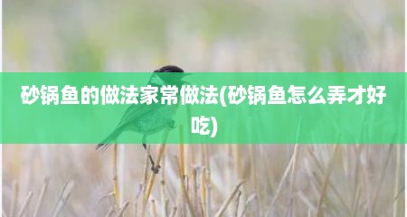 砂锅鱼的做法家常做法(砂锅鱼怎么弄才好吃)