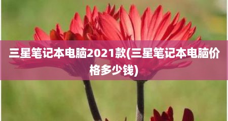 三星笔记本电脑2021款(三星笔记本电脑价格多少钱)