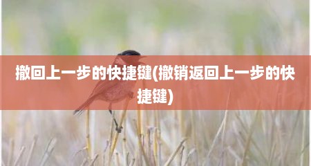 撤回上一步的快捷键(撤销返回上一步的快捷键)