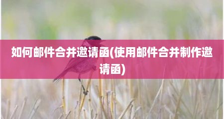 如何邮件合并邀请函(使用邮件合并制作邀请函)