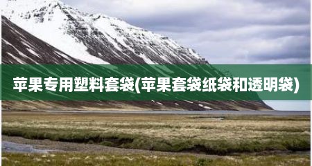 苹果专用塑料套袋(苹果套袋纸袋和透明袋)
