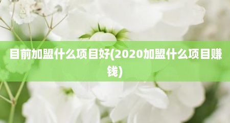 目前加盟什么项目好(2020加盟什么项目赚钱)