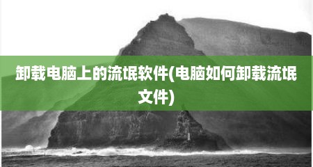 卸载电脑上的流氓软件(电脑如何卸载流氓文件)