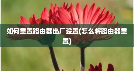如何重置路由器出厂设置(怎么将路由器重置)