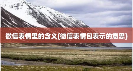 微信表情里的含义(微信表情包表示的意思)
