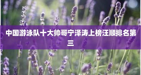 中国游泳队十大帅哥宁泽涛上榜汪顺排名第三