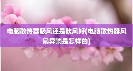 电脑散热器吸风还是吹风好(电脑散热器风扇异响是怎样的)