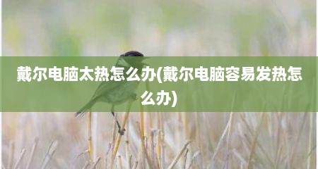 戴尔电脑太热怎么办(戴尔电脑容易发热怎么办)
