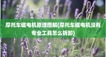 摩托车磁电机原理图解(摩托车磁电机没有专业工具怎么拆卸)