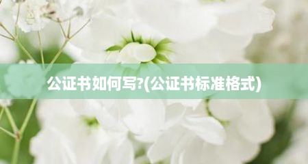 公证书如何写?(公证书标准格式)