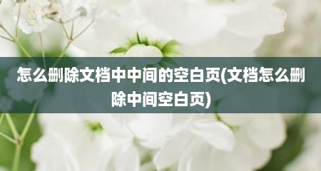 怎么删除文档中中间的空白页(文档怎么删除中间空白页)