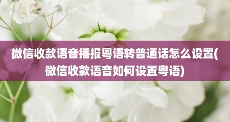 微信收款语音播报粤语转普通话怎么设置(微信收款语音如何设置粤语)