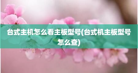 台式主机怎么看主板型号(台式机主板型号怎么查)