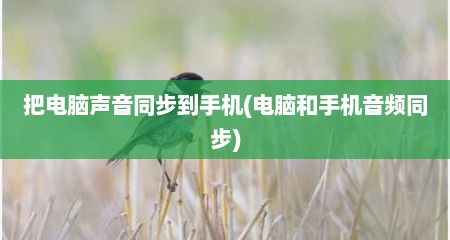 把电脑声音同步到手机(电脑和手机音频同步)