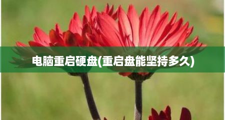 电脑重启硬盘(重启盘能坚持多久)
