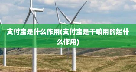 支付宝是什么作用(支付宝是干嘛用的起什么作用)