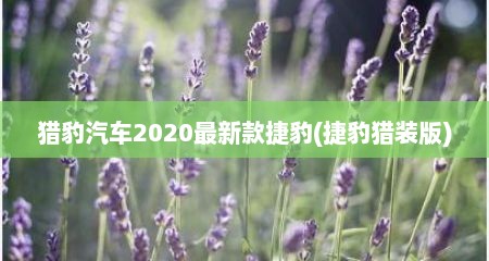 猎豹汽车2020最新款捷豹(捷豹猎装版)