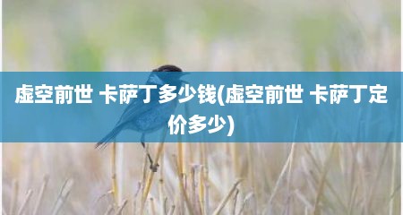 虚空前世 卡萨丁多少钱(虚空前世 卡萨丁定价多少)