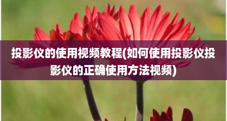 投影仪的使用视频教程(如何使用投影仪投影仪的正确使用方法视频)