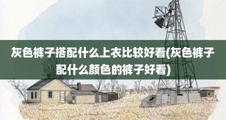 灰色裤子搭配什么上衣比较好看(灰色裤子配什么颜色的裤子好看)