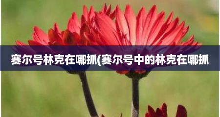 赛尔号林克在哪抓(赛尔号中的林克在哪抓