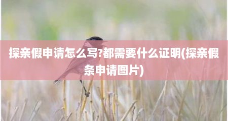 探亲假申请怎么写?都需要什么证明(探亲假条申请图片)