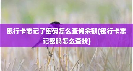 银行卡忘记了密码怎么查询余额(银行卡忘记密码怎么查找)