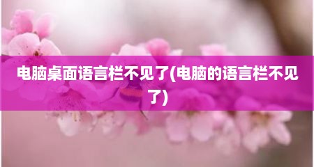 电脑桌面语言栏不见了(电脑的语言栏不见了)