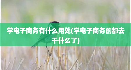 学电子商务有什么用处(学电子商务的都去干什么了)
