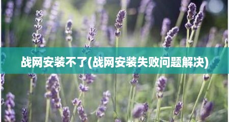 战网安装不予(战网安装失败问题解决)