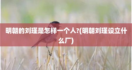 明朝的刘瑾是怎样一个人?(明朝刘瑾设立什么厂)