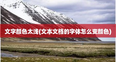 文字颜色太浅(文本文档的字体怎么变颜色)