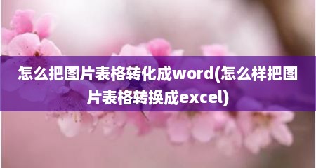 怎么把图片表格转化成word(怎么样把图片表格转换成excel)