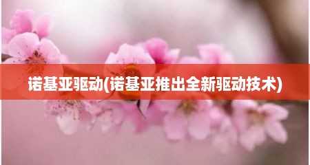 诺基亚驱动(诺基亚推出全新驱动技术)