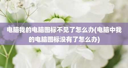 电脑我的电脑图标不见了怎么办(电脑中我的电脑图标没有了怎么办)