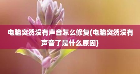 电脑突然没有声音怎么修复(电脑突然没有声音了是什么原因)