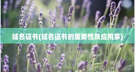 域名证书(域名证书的重要性及应用茅)