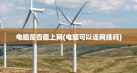电脑是否能上网(电脑可以连网络吗)