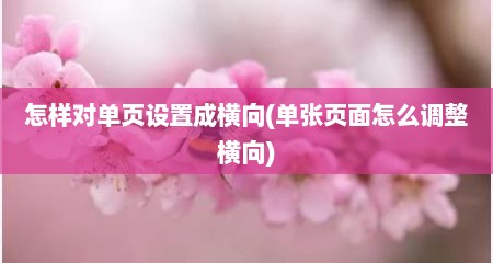 怎样对单页设置成横向(单张页面怎么调整横向)