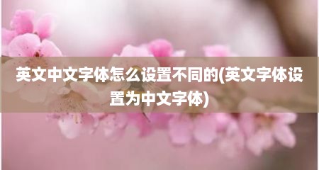 英文中文字体怎么设置不同的(英文字体设置为中文字体)