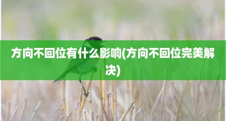 方向不回位有什么影响(方向不回位完美解决)